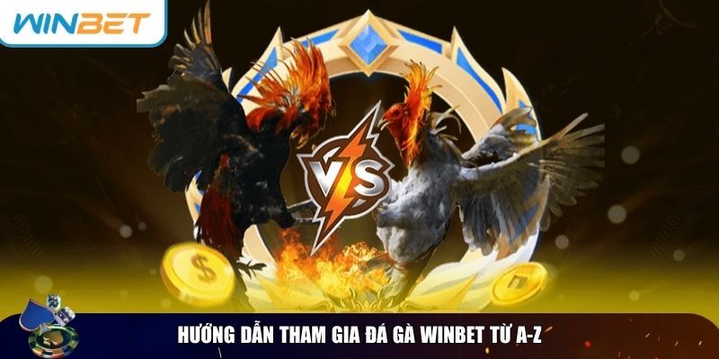 Tìm hiểu từng bước để tham gia đá gà Winbet