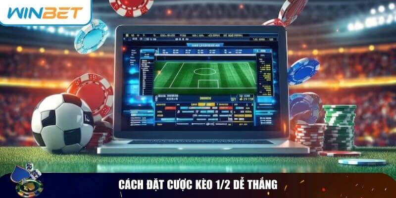Kèo 1/2 Là Gì? Cách Đọc Kèo Chấp 0.5 Và Mẹo Cược Dễ Thắng Một số mẹo giúp bạn đặt cược kèo 1/2 hiệu quả hơn