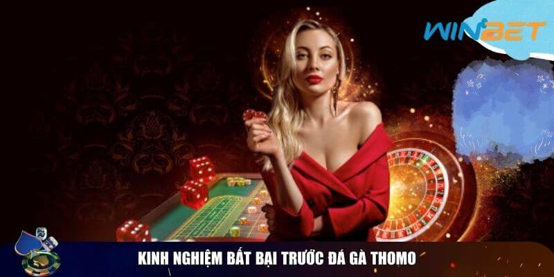 Luật Chơi Đá Gà Thomo – Hướng Dẫn Cho Người Mới Kinh nghiệm bất bại trước đá gà Thomo