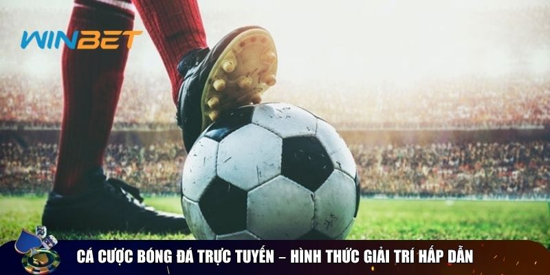 Chiến lược cá cược bóng đá trực tiếp từ các chuyên gia Cá cược bóng đá trực tuyến – Hình thức giải trí hấp dẫn