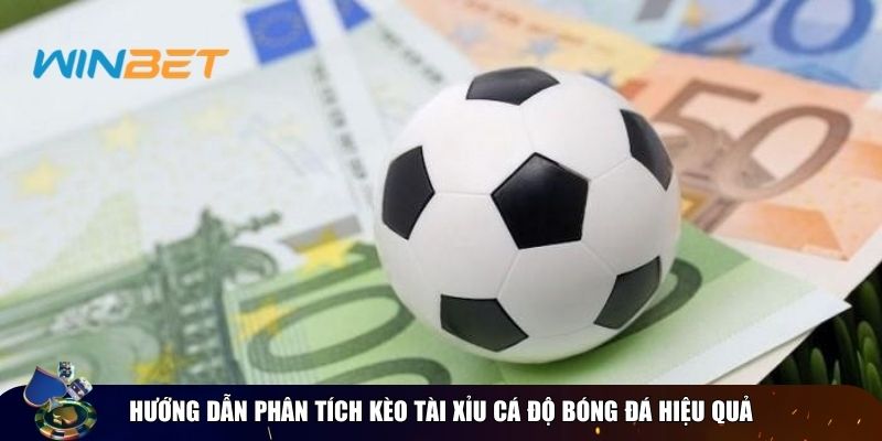 Phân tích kèo tài xỉu cá độ bóng đá với chiến lược hiệu quả Hướng dẫn phân tích kèo tài xỉu cá độ bóng đá hiệu quả