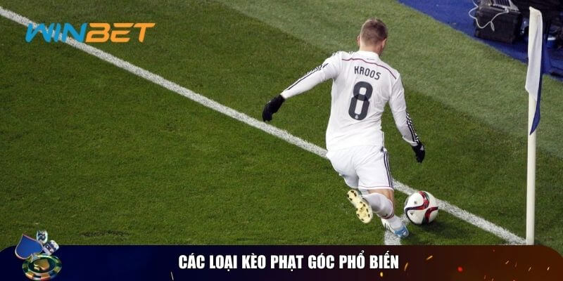 Kèo phạt góc - Top kèo cược thịnh hành nhất trong cá cược Một số kèo góc được nhiều bet thủ lựa chọn